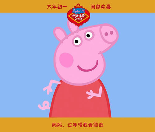 无犯罪公证书照片